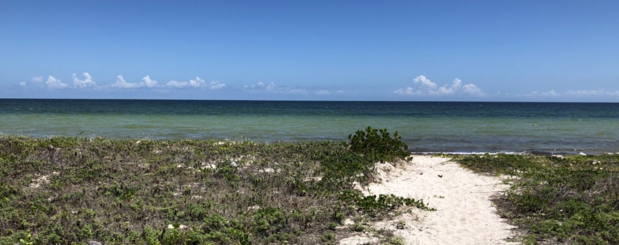 BEACHFRONT LOT IN SAN CRISANTO // YUCATAN COAST Yucatan Real Estate
